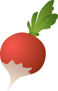 A radish